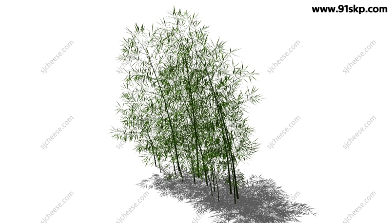 竹子户外绿植SU草图大师sketchup模型