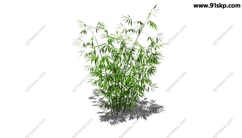 竹子植物装饰SU草图大师sketchup模型