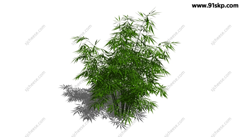 绿植竹子SU草图大师sketchup模型