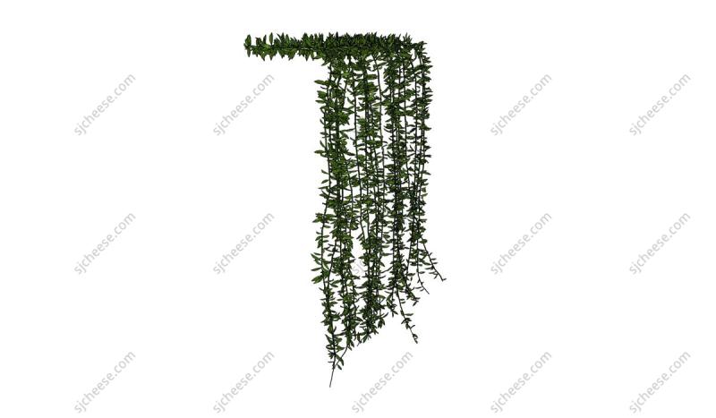 花园藤曼绿植SU草图大师sketchup模型