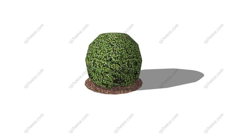 花园景观绿植圆球植物SU草图大师sketchup模型