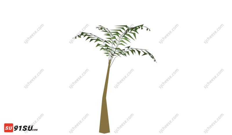 绿植发财树树木SU草图大师sketchup模型