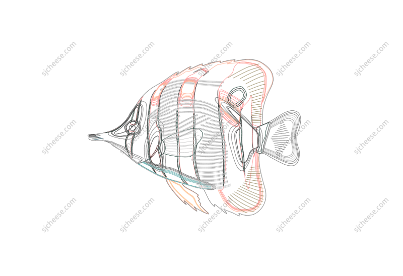 长吻尖嘴鱼CAD图块