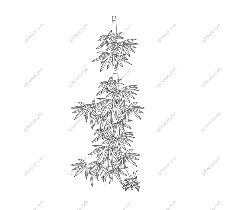 庭院竹子绿植CAD图块