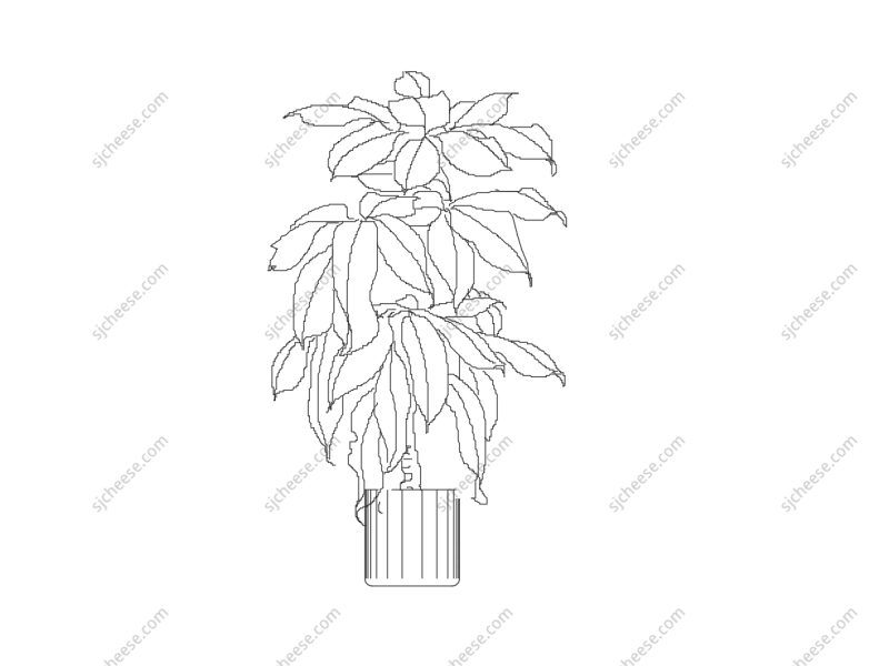 家庭发财树树木绿植盆栽CAD图块