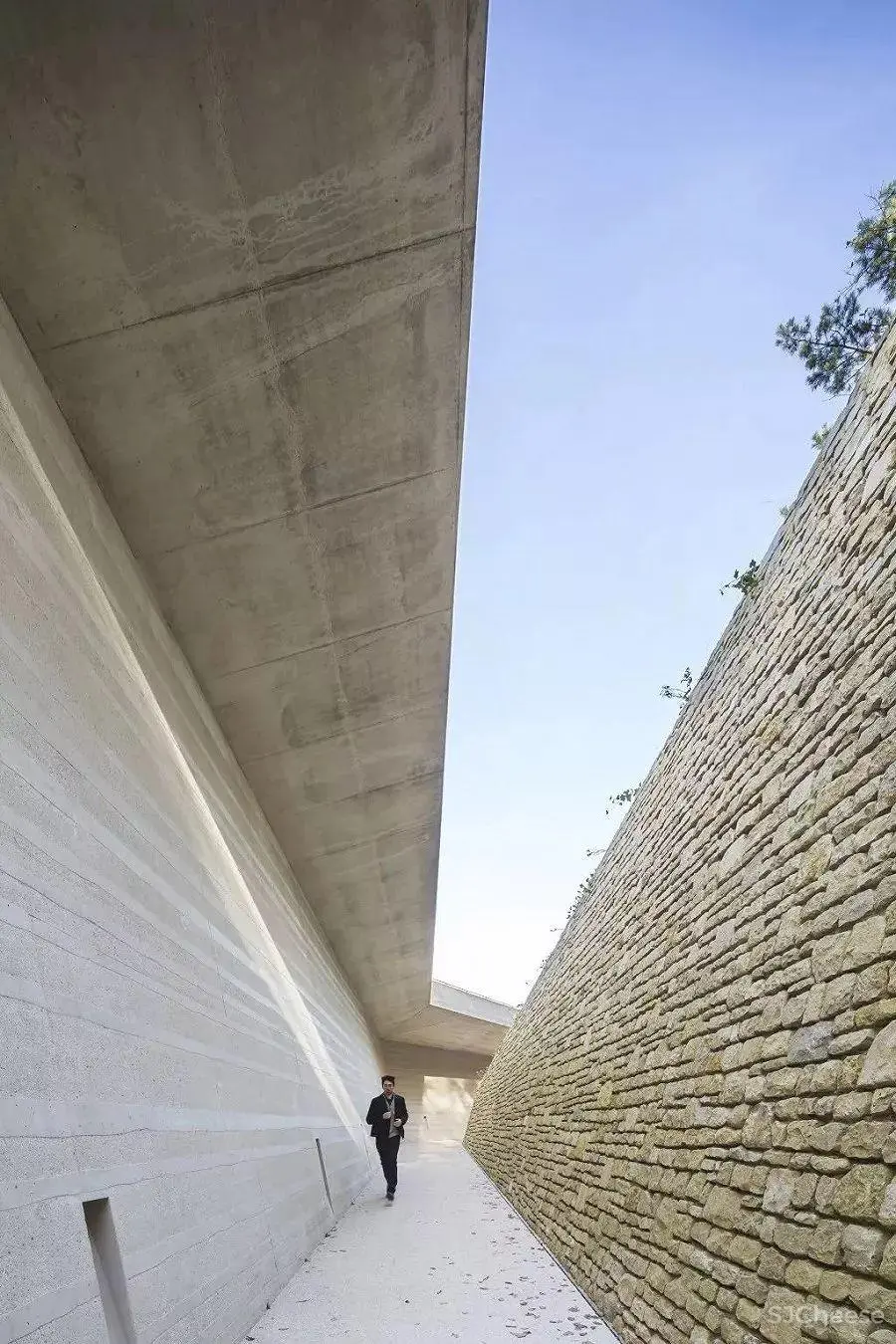 法国洞穴壁画艺术中心设计 法国洞穴壁画艺术中心设计