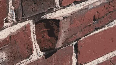 路易斯康50年前设计的「神之图书馆」,秒杀网红书店