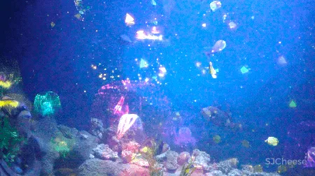 上海“深坑酒店”耗时12年耗资20亿!