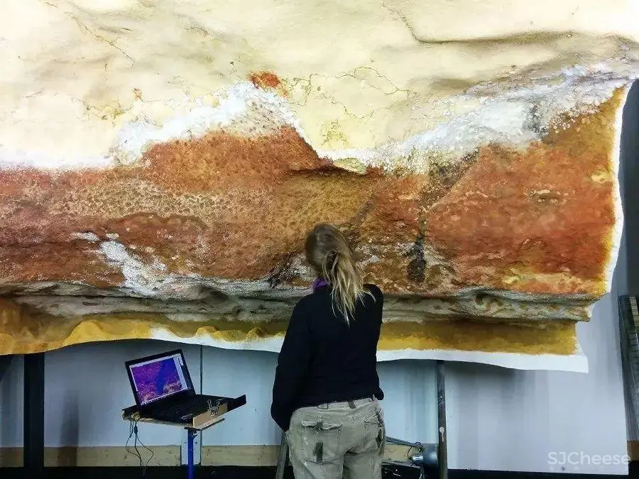 法国洞穴壁画艺术中心设计 法国洞穴壁画艺术中心设计