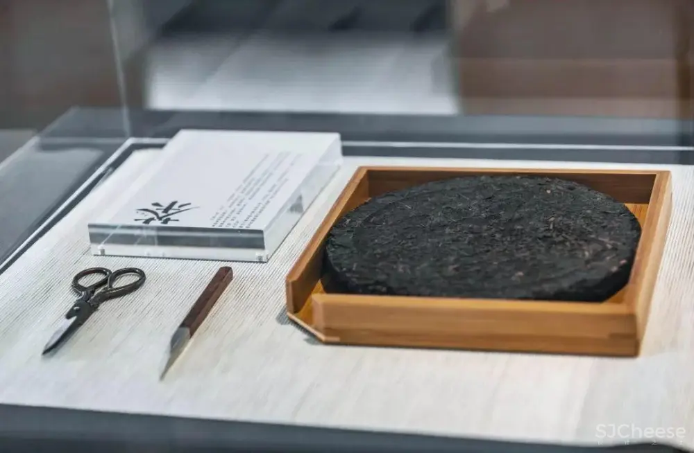 地域与人文的叙事 | 梧州美的城市展厅 地域与人文的叙事 | 梧州美的城市展厅