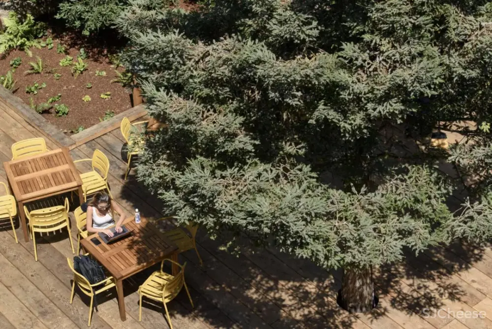 Frank Gehry设计的Facebook新总部大楼,这才是真正的花园办公