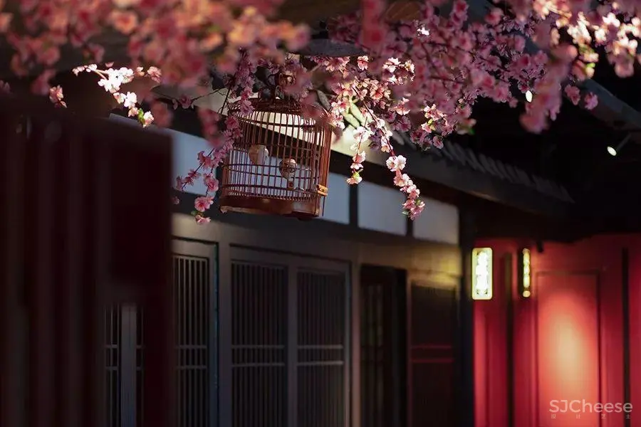 花前树下的儿时回忆 | 乡里外婆家 花前树下的儿时回忆 | 乡里外婆家