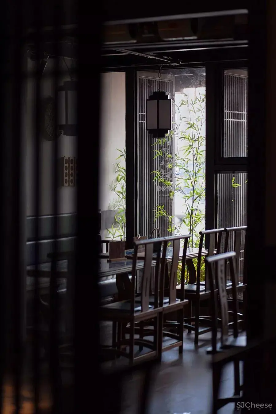 花前树下的儿时回忆 | 乡里外婆家 花前树下的儿时回忆 | 乡里外婆家