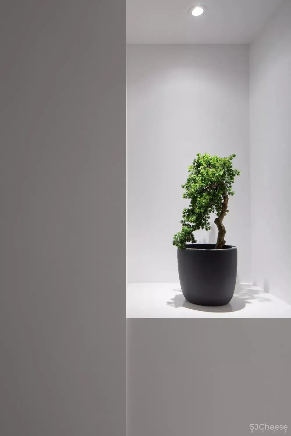 商业佳作 | 张虎 |海派东方 |泊联汇·美福月 张虎 |海派东方 |泊联汇·美福月