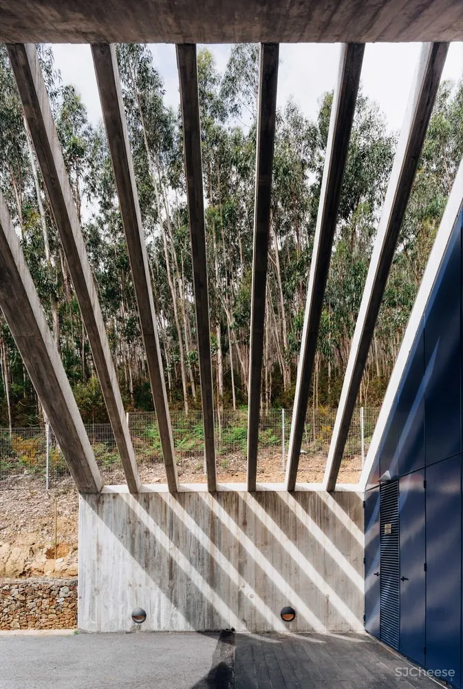 Pedro Geraldes | 森林中的现代工业建筑