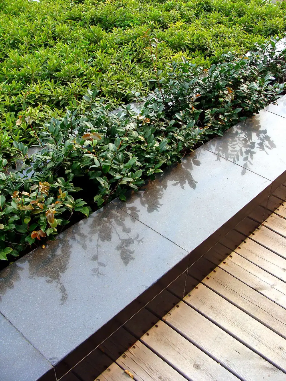 金螳螂 太湖干部疗养院