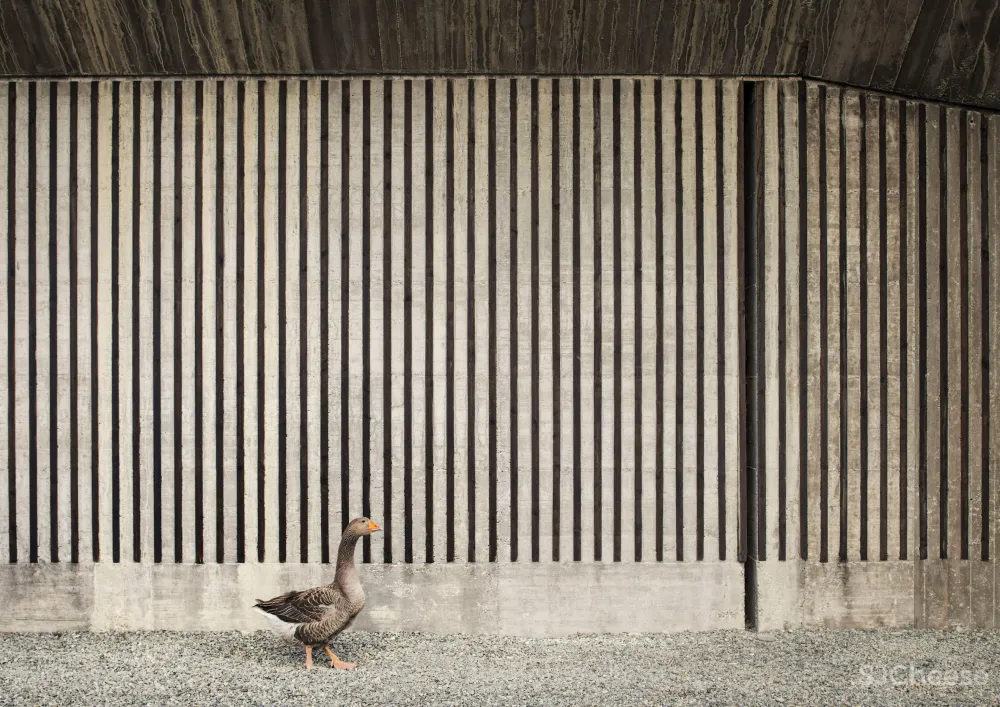 Deamicisarchitetti submerges concrete machinery depot into hillside