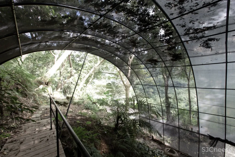 自然治愈系 / DIVOOE ZEIN Architects 首