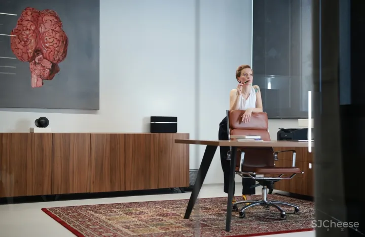 克罗地亚Eclectic 办公室 | Brigada