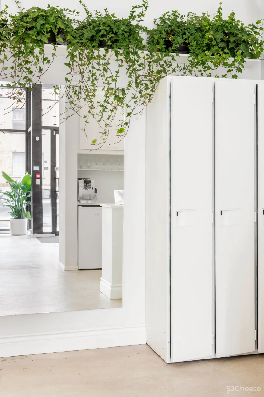 Ivy Studio：藤蔓理发店