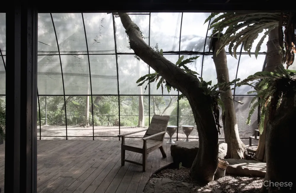 自然治愈系 / DIVOOE ZEIN Architects 首