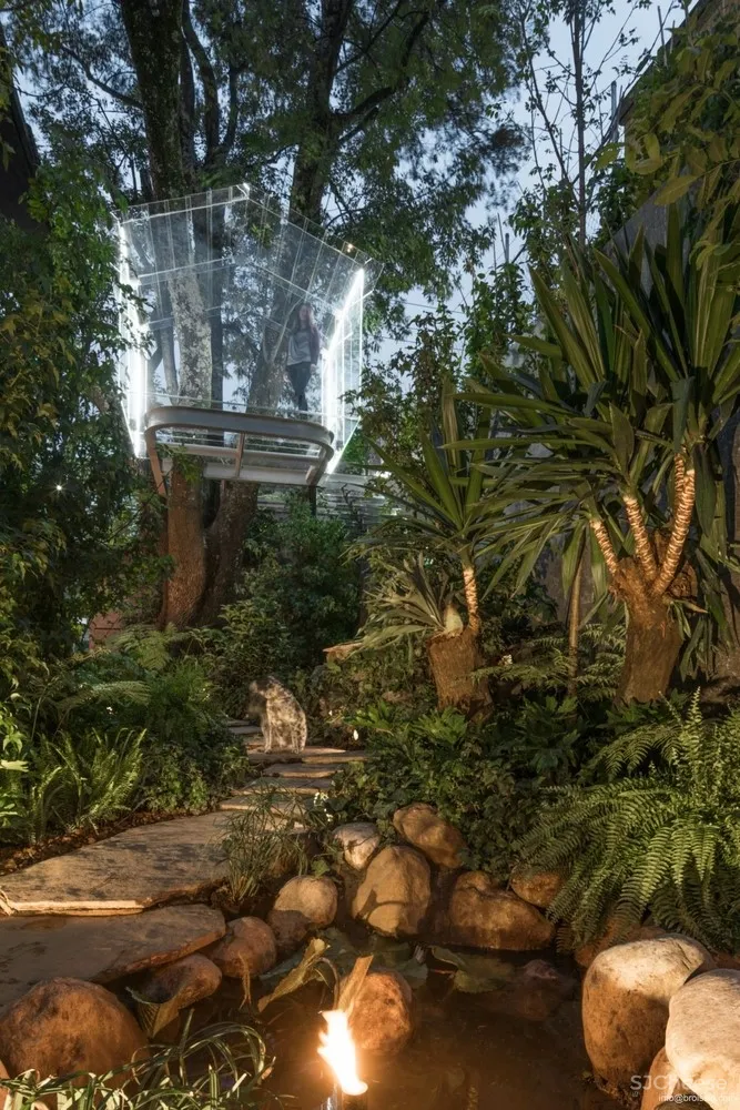 Broissin Arquitectos 运用玻璃重新诠释树屋