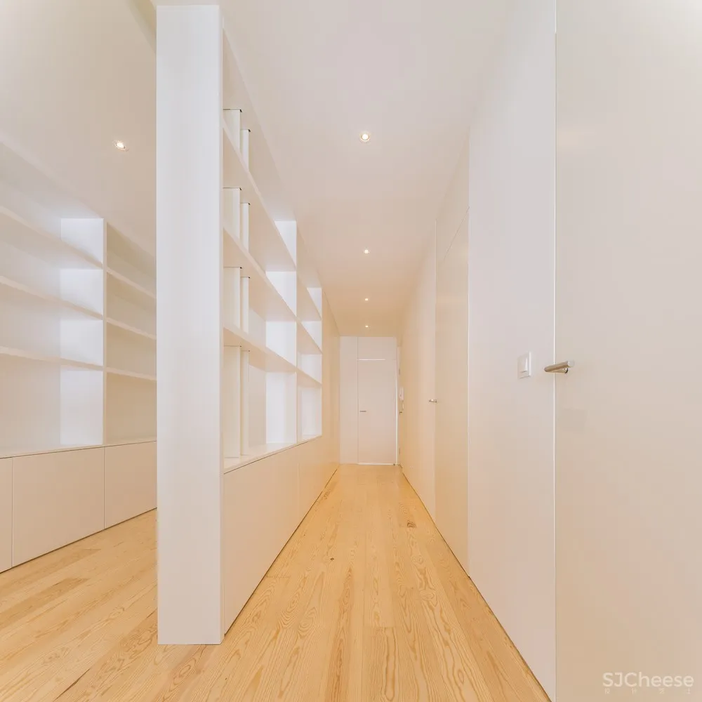 Manuel Cachão Tojal 舒适明亮的公寓体验