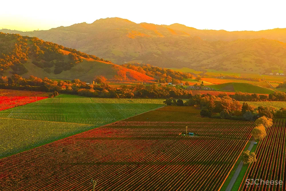Yabu Pushelberg 作品 | Las Alcobas Napa Valley,葡萄酒之乡最具吸引力的酒店之一