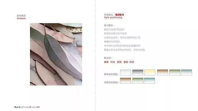 商业佳作 | 张虎 |海派东方 |泊联汇·美福月 张虎 |海派东方 |泊联汇·美福月