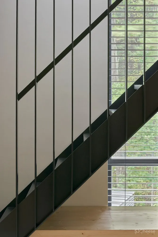 与环境的和谐融合 | A House in Rasu Namai