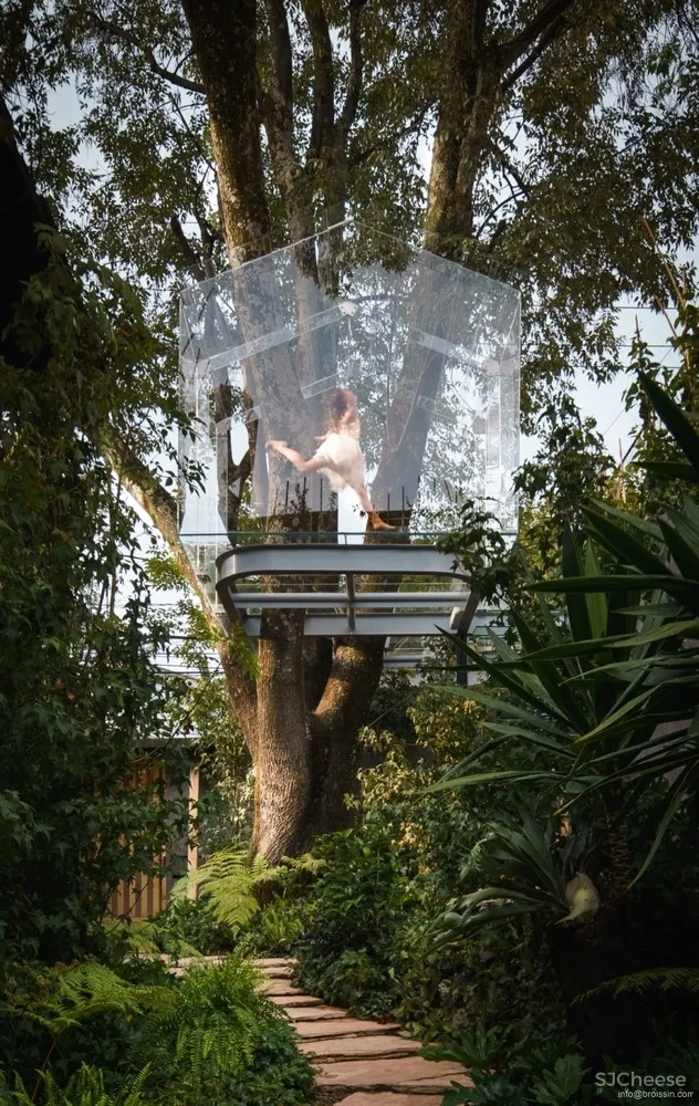 Broissin Arquitectos 运用玻璃重新诠释树屋