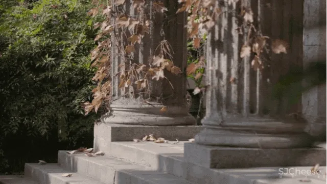 上海第一爱巢 | 煤炭大王的4000㎡豪宅