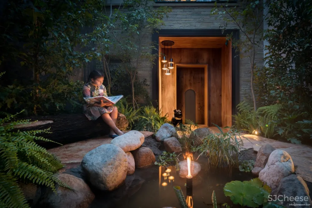 Broissin Arquitectos 运用玻璃重新诠释树屋