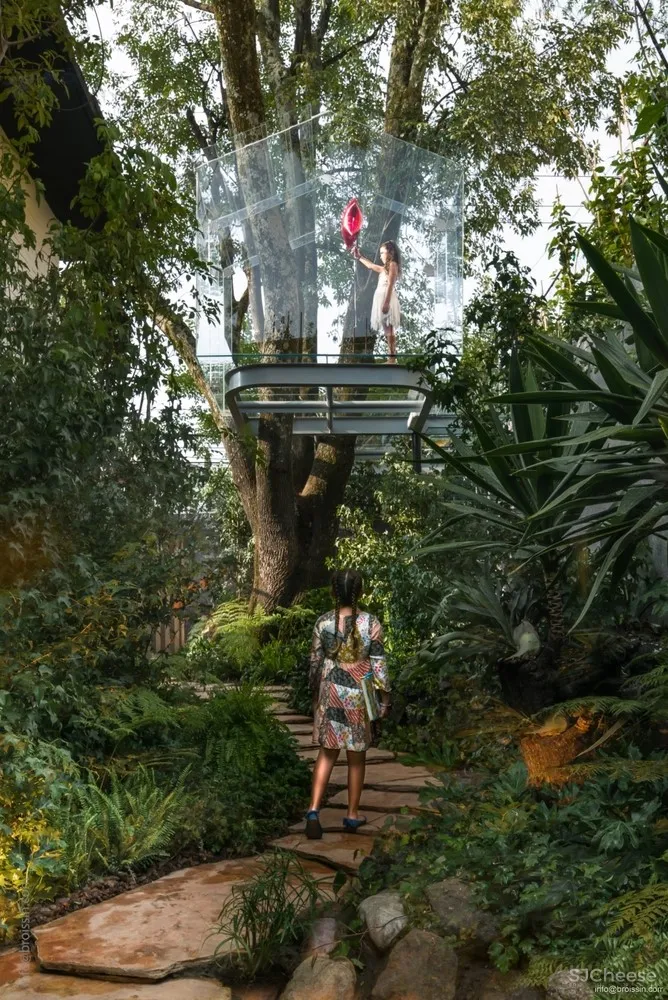 Broissin Arquitectos 运用玻璃重新诠释树屋