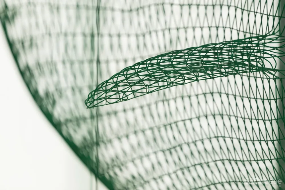 东仓建设:全球首家超级旗舰店·Whale 首