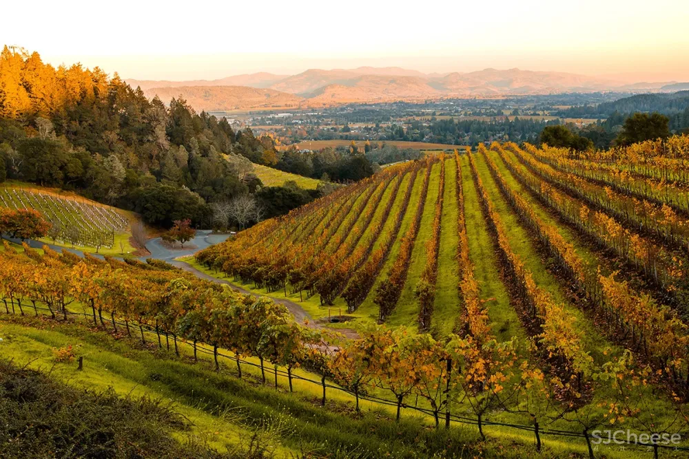 Yabu Pushelberg 作品 | Las Alcobas Napa Valley，葡萄酒之乡最具吸引力的酒店之一