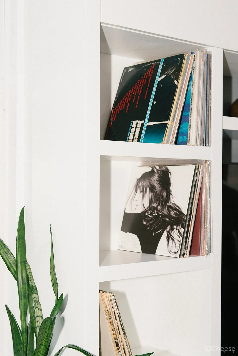 Studio Roslyn:温哥华 Ad Astra住宅 首