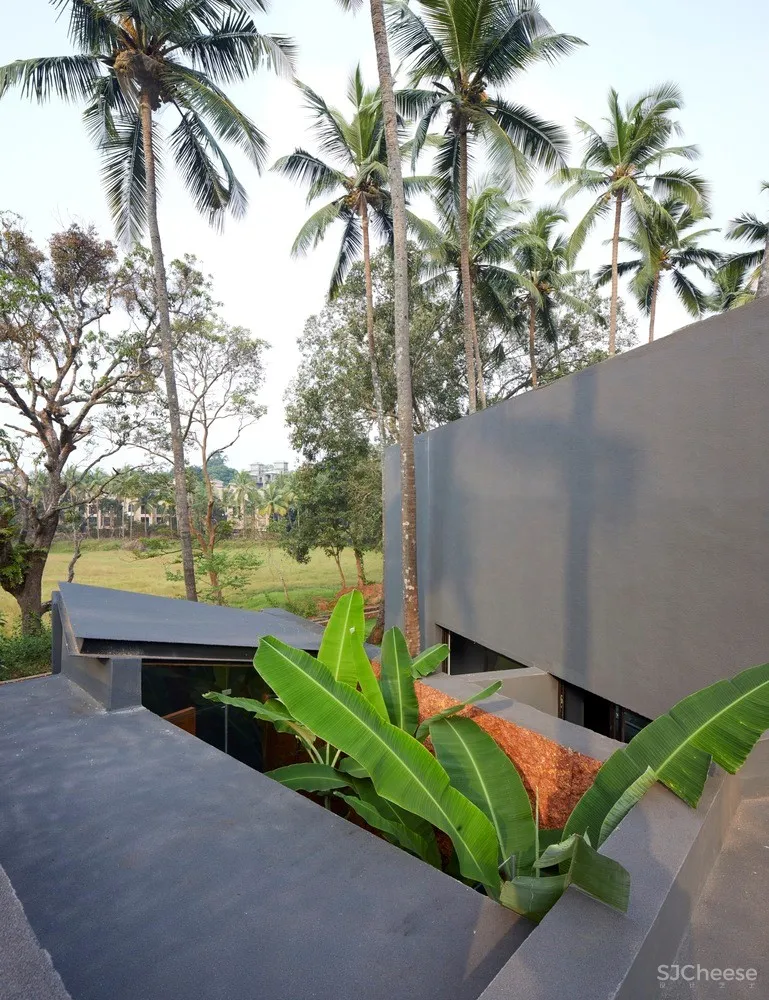 棕榈住宅 / Abraham John Architects