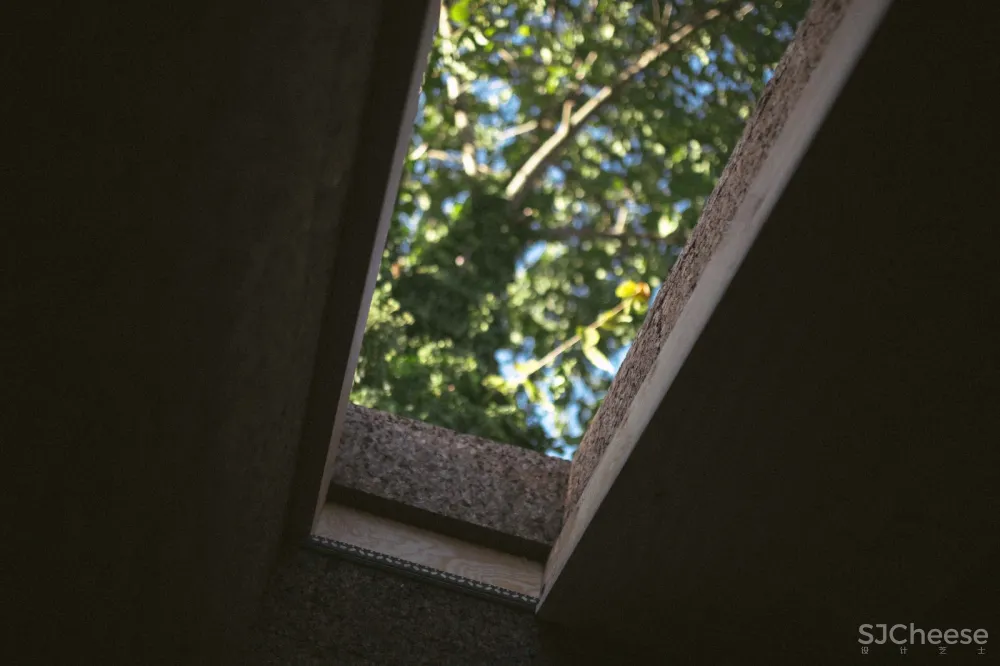 新作 | Studio Bark 可降解可回收的软木住宅 首