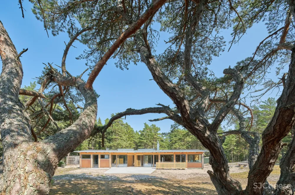 The Dune Cabin | 海洋森林中的度假屋