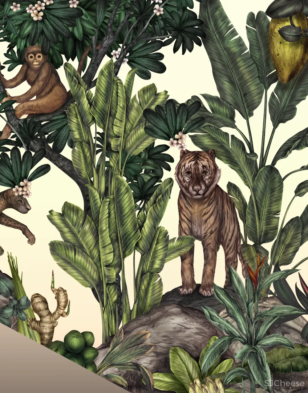 东京新宿:GinengerGrass”餐厅及墙上的艺术品