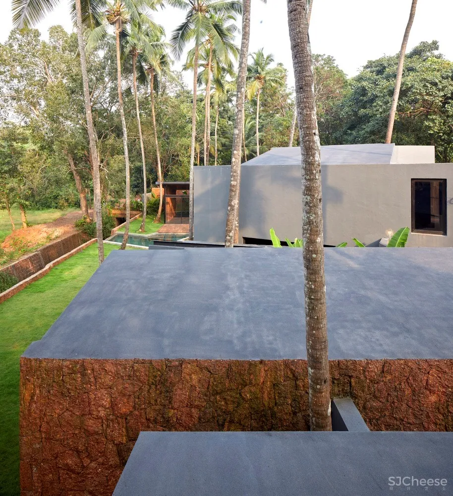 棕榈住宅 / Abraham John Architects