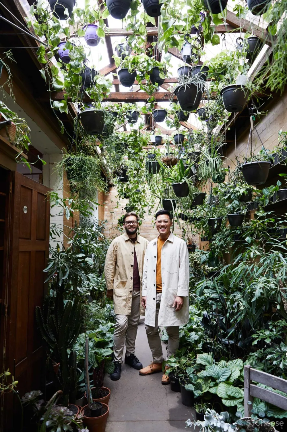 THE PLANT SOCIETY 植物协会新旗舰店