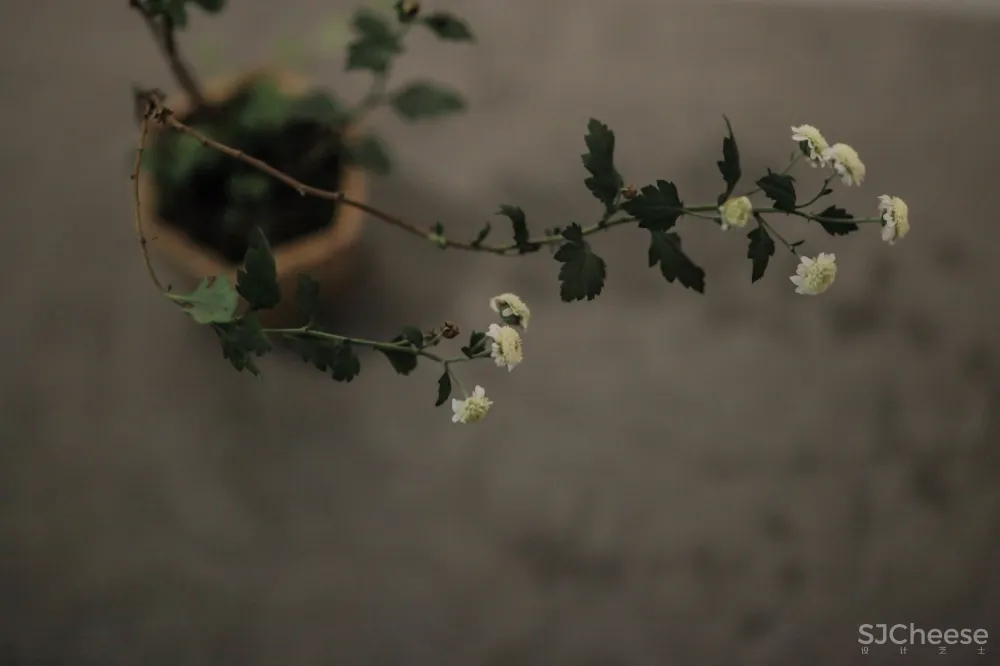 城市一隅,古朴禅境小茶馆 | SW 8. studio 首