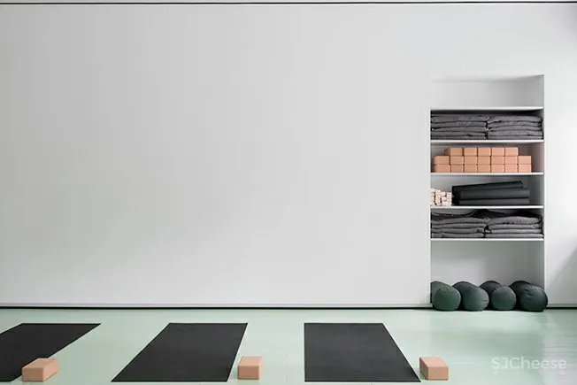 莫斯科 MIA Yoga 瑜伽工作室 :Crosby Studios 首