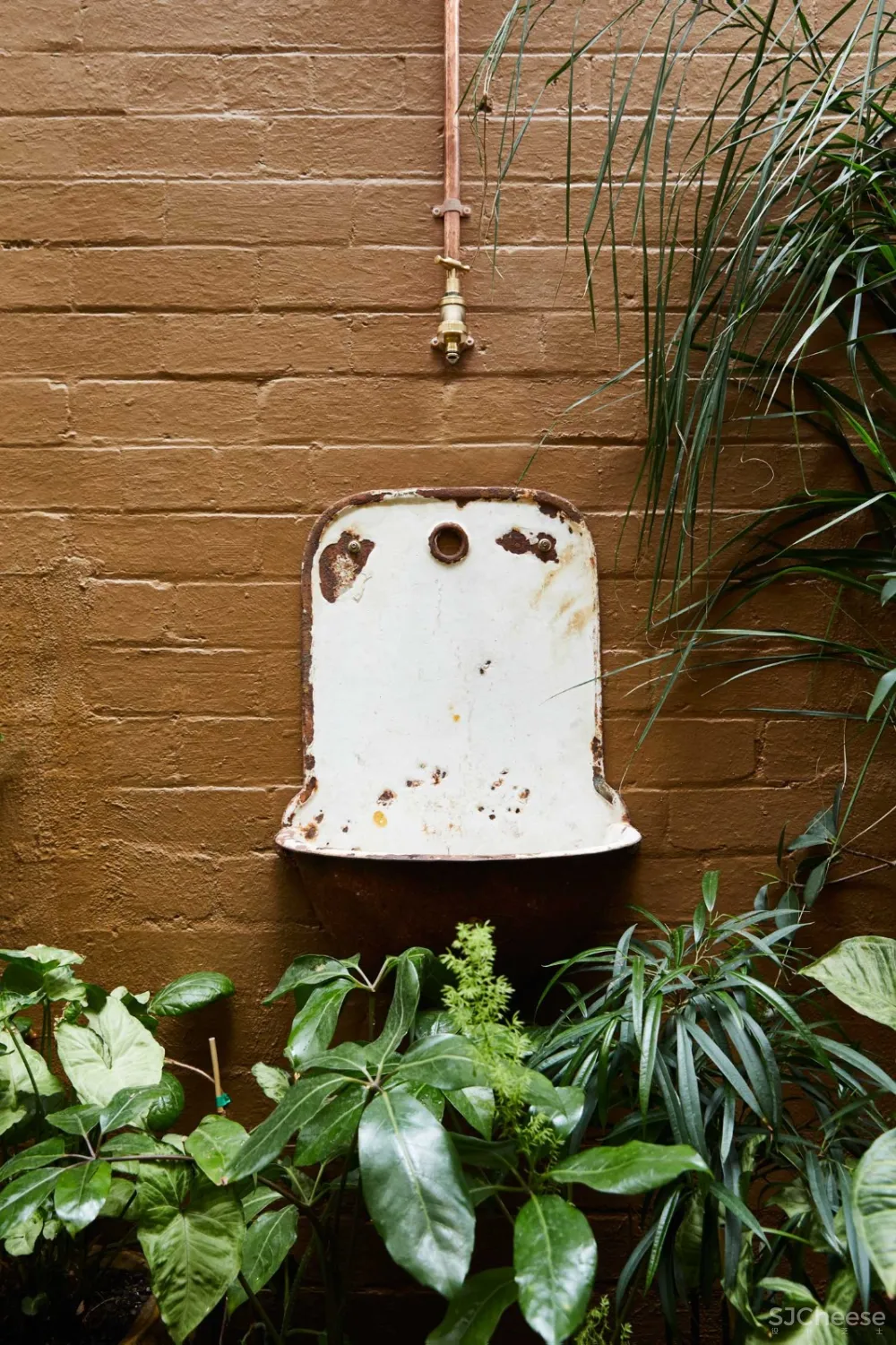 THE PLANT SOCIETY 植物协会新旗舰店