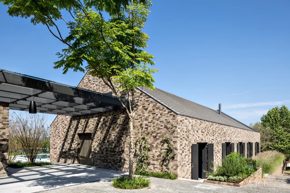 项目03 / Kiko Salomão