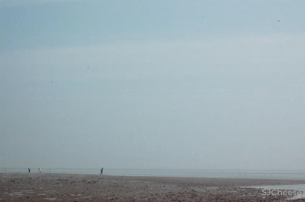 顺风楼海鲜馆,温州 / 拓邦部落设计联盟 首