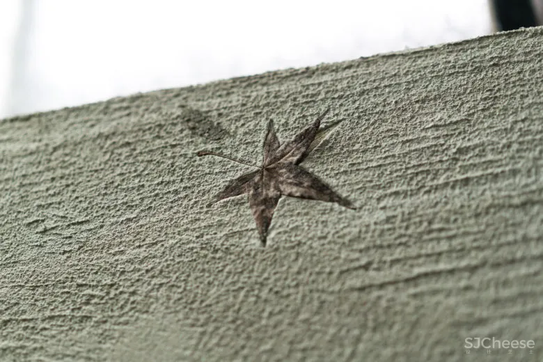 纸张、自然与人的催化实验室—FENKO凤娇催化室