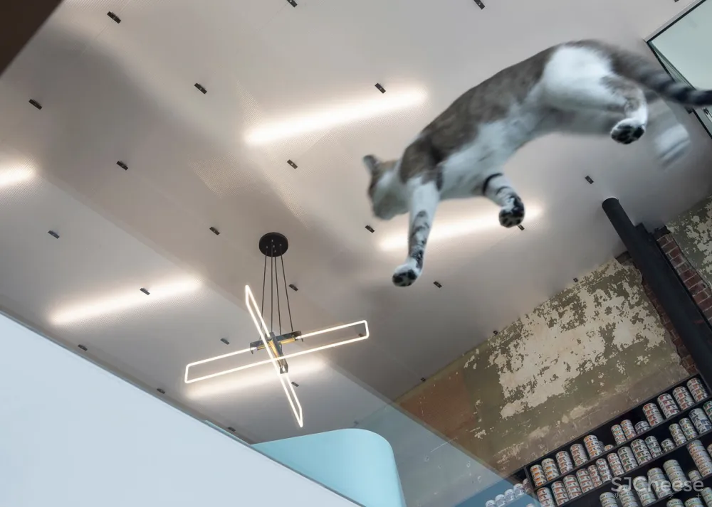 TBA:色彩舒缓的兽医诊所 首